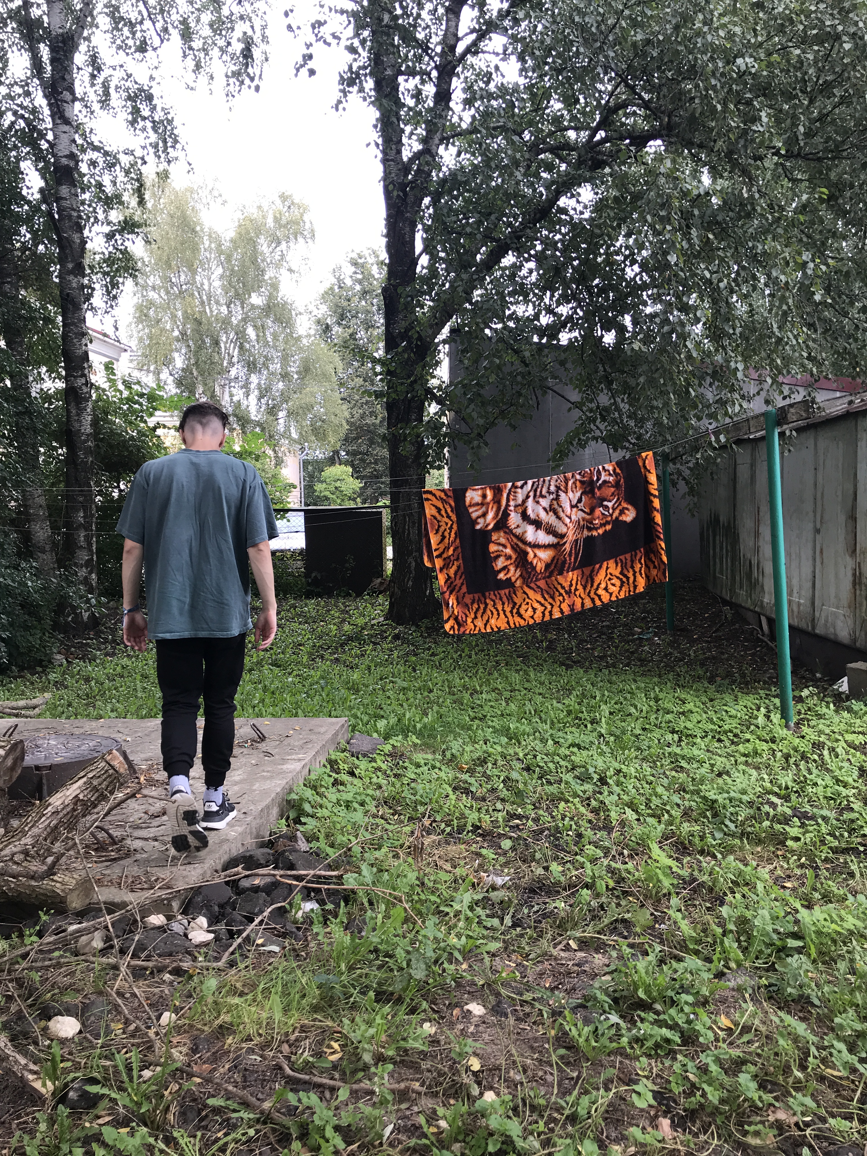 Выпуск 24 – Не прошло и полгода