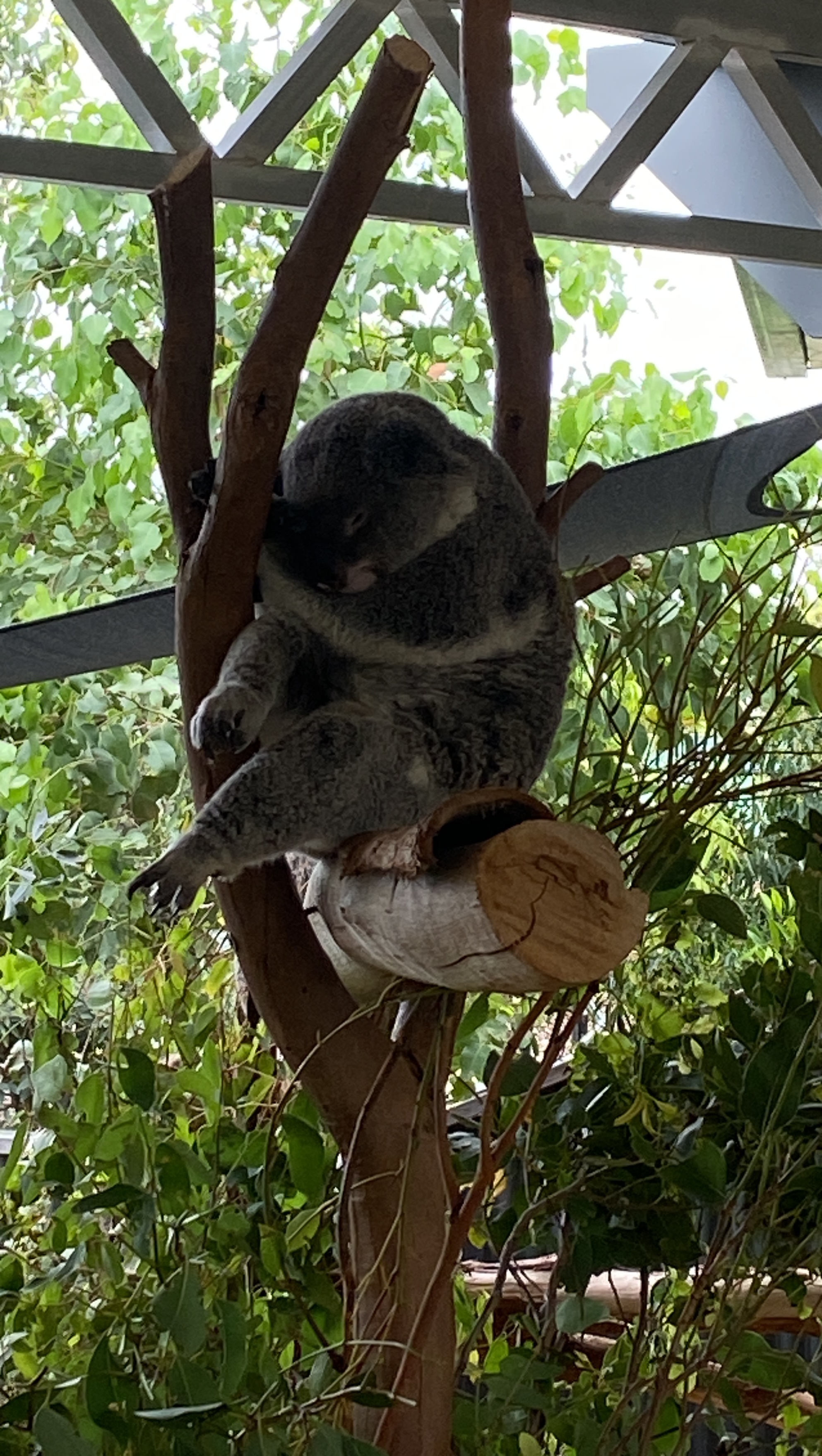 Экстра 43 — Высыпайся